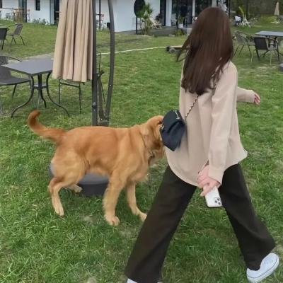 小煤炭商